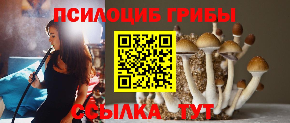 Псилоцибиновые грибы GOLDEN TEACHER  Вход с VPN  Псилоцибиновые грибы Magic Shrooms  Клин 